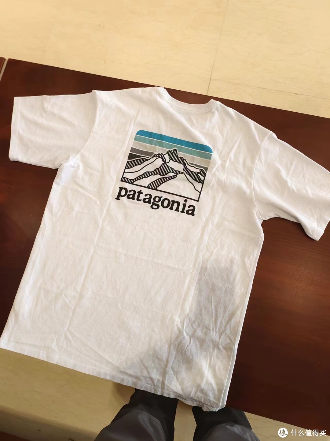 100￥~巴塔哥尼亚短袖~ 环保是你的谎言？（何必始祖鸟，户外届gucci）