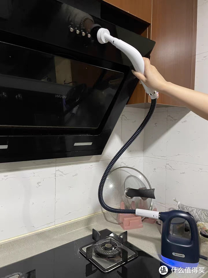 蓝宝高温高压蒸汽清洁机家用小型厨房空调家电油烟机清洗机消毒机